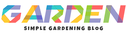 Xgscat Blog