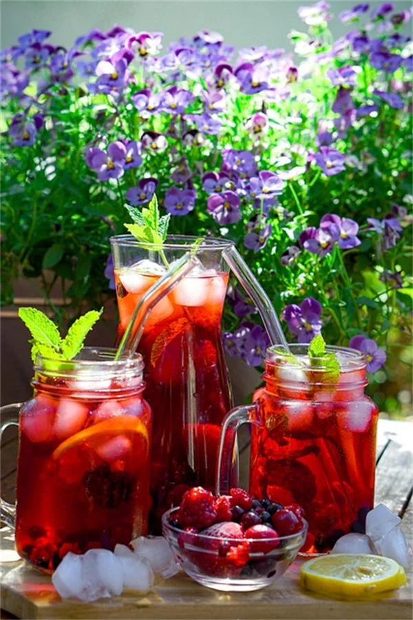 Elderberry Transplant Guide: Best Time and Step-by-Step Tips