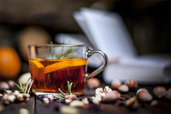 Revive Dried Out Plants: 5 Steps to Bring Them Back to Life