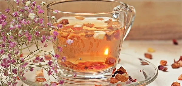 Revive Dried Out Plants: 5 Steps to Bring Them Back to Life