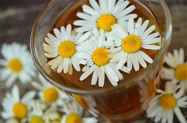 Fall Nature Crafts: 5 Easy Projects to Try Today