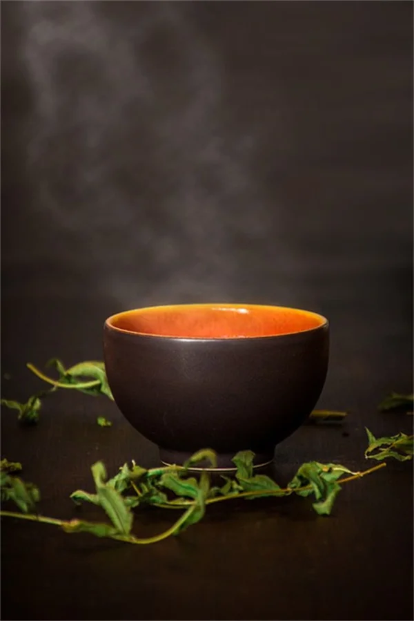 Tree Feeder Roots: What They Do and How to Keep Them Healthy